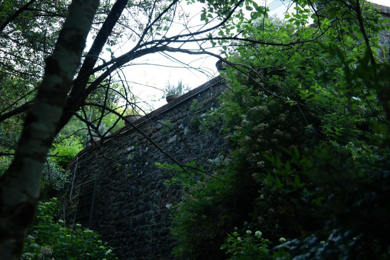 Mulino Di Castelvecchio Βίλα Borgo a Buggiano Εξωτερικό φωτογραφία